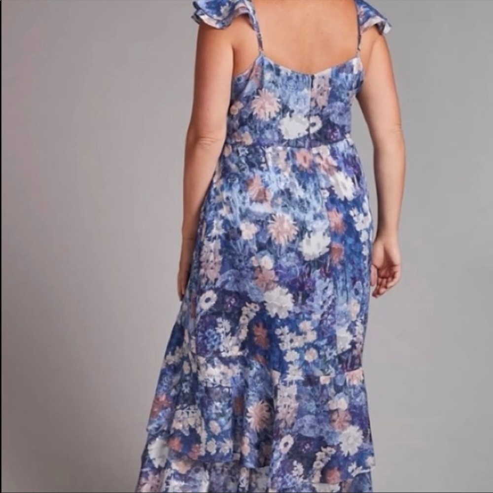 Anthropologie Blue Floral Midi Dress - Picture 5 of 6
